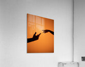 Connection Acrylic Print