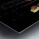 Resurrection Metal print