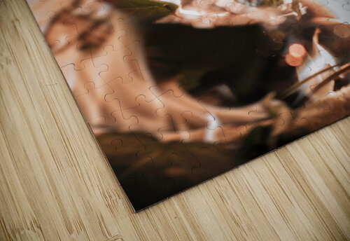 Flaming Flower Auracity puzzle