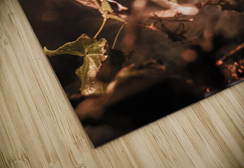 Burned Flower Auracity puzzle
