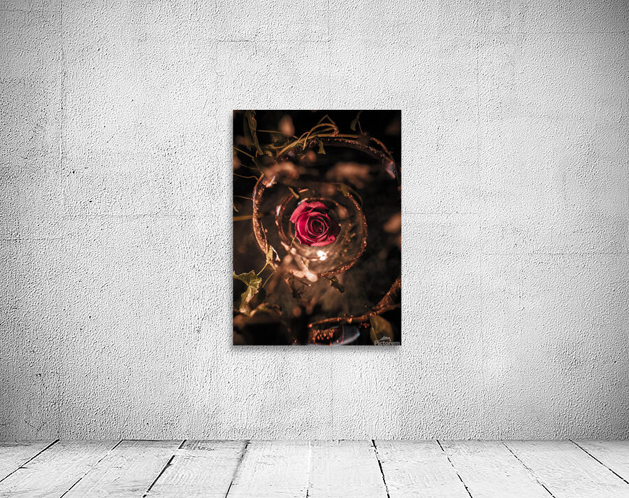 Burned Flower Wall Preview