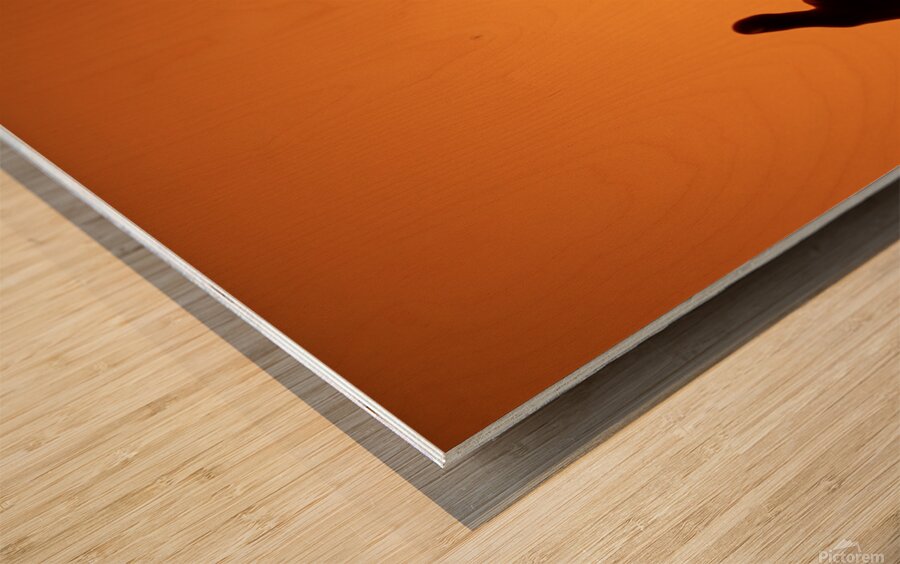 Connection Wood print