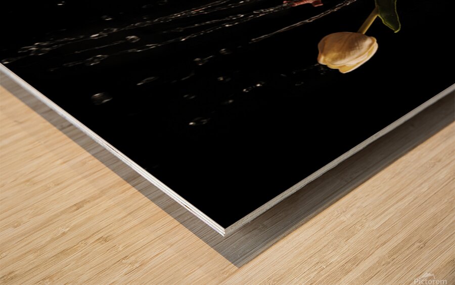 Resurrection Wood print