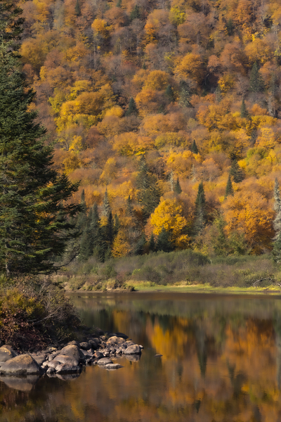 Fall Digital Download