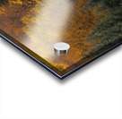 Immersion Acrylic print