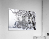 Arbres tempete Acrylic Print