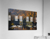 Foret Lac Acrylic Print