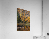 Fall Acrylic Print