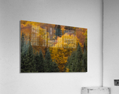 Immersion Acrylic Print