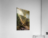 Foret feerique  Acrylic Print