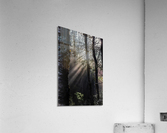 Divin Acrylic Print