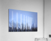 Moon in blue Acrylic Print