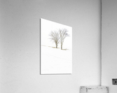 Only 2 Acrylic Print