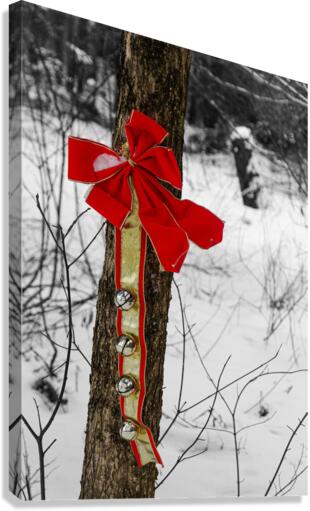 Christmas decoration Canvas Print