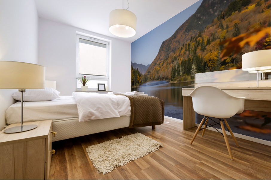 Dame nature Mural print