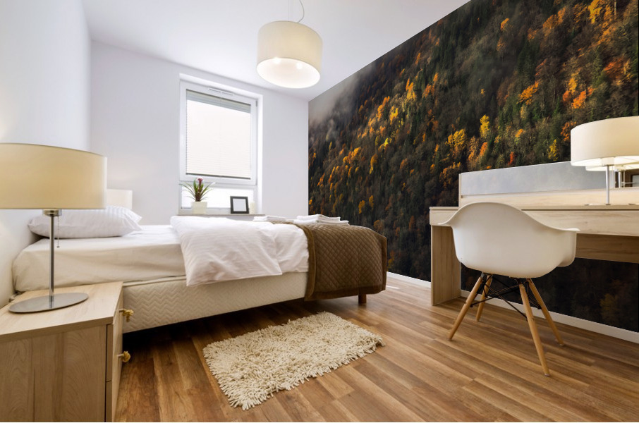 Foggy trees Mural print