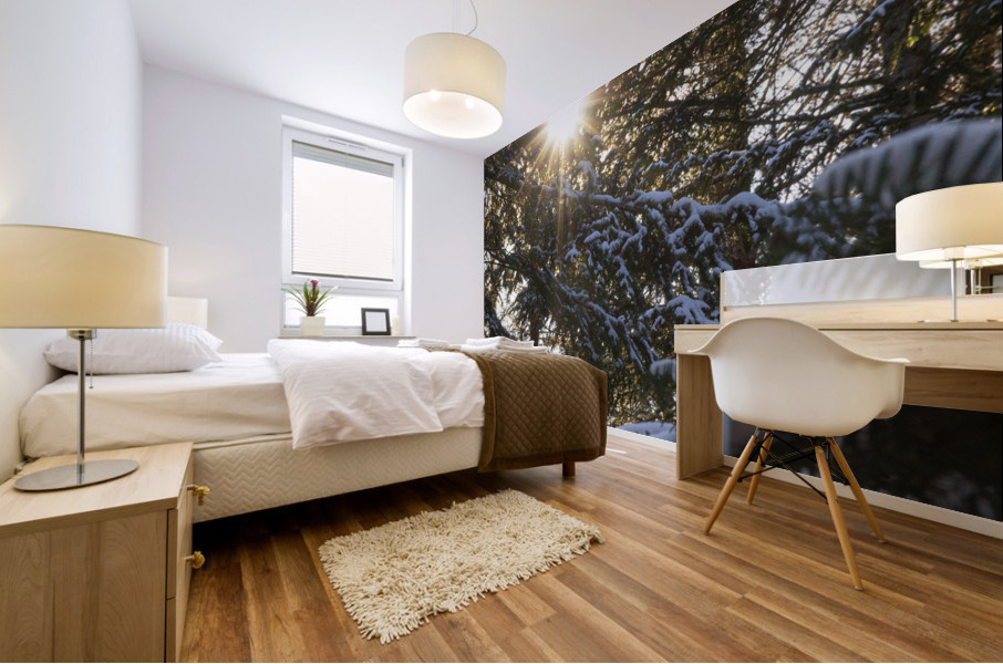 Soleil Etoile Mural print