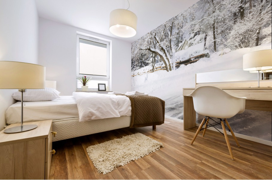 Chemin enneige Mural print