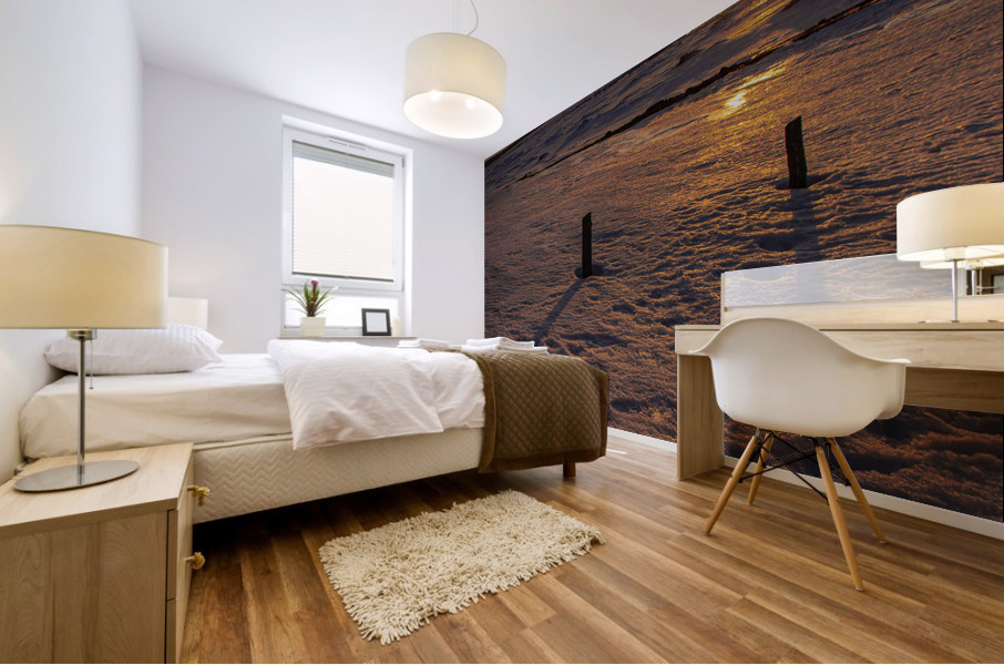 Sunset Fleuve Mural print