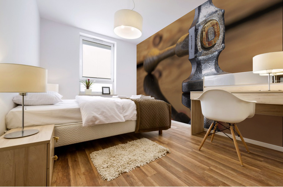 Marteau miroir Mural print