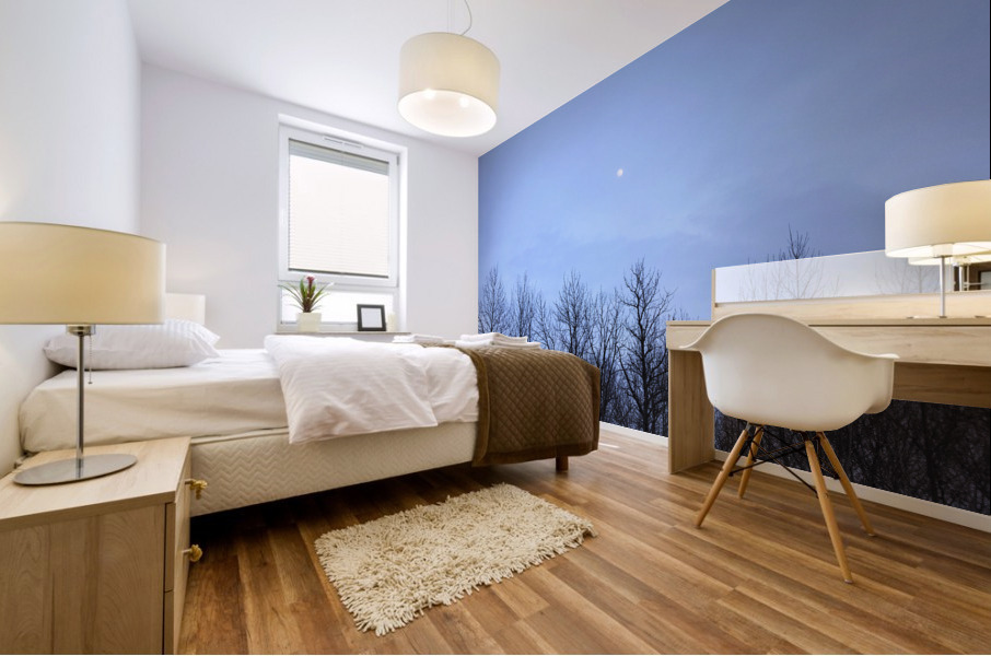 Moon in blue Mural print