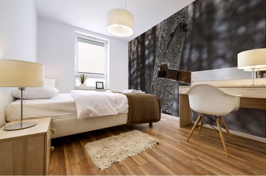 Tree trunk Mural print