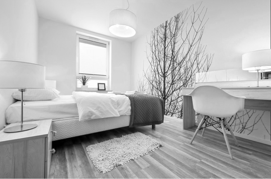 Naked tree Mural print