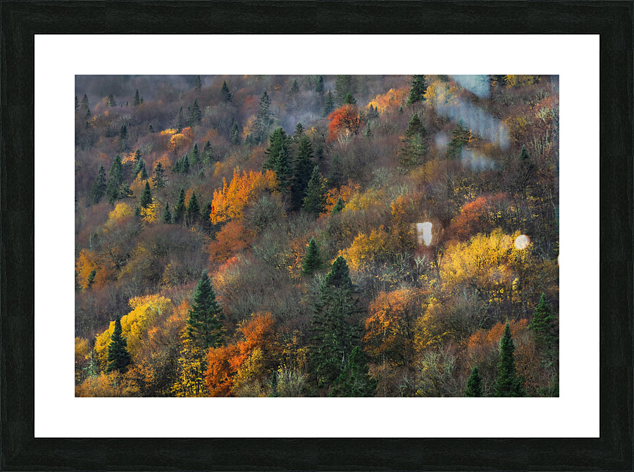 Automne Picture Frame print