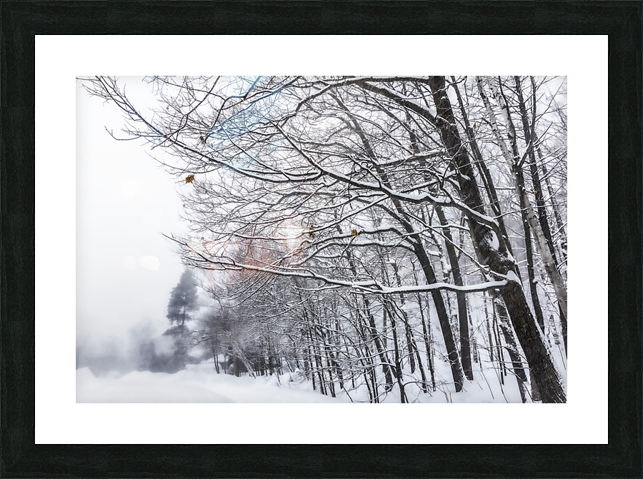 Arbres tempete Picture Frame print