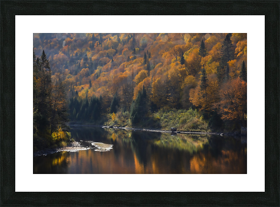 Foret Lac Picture Frame print