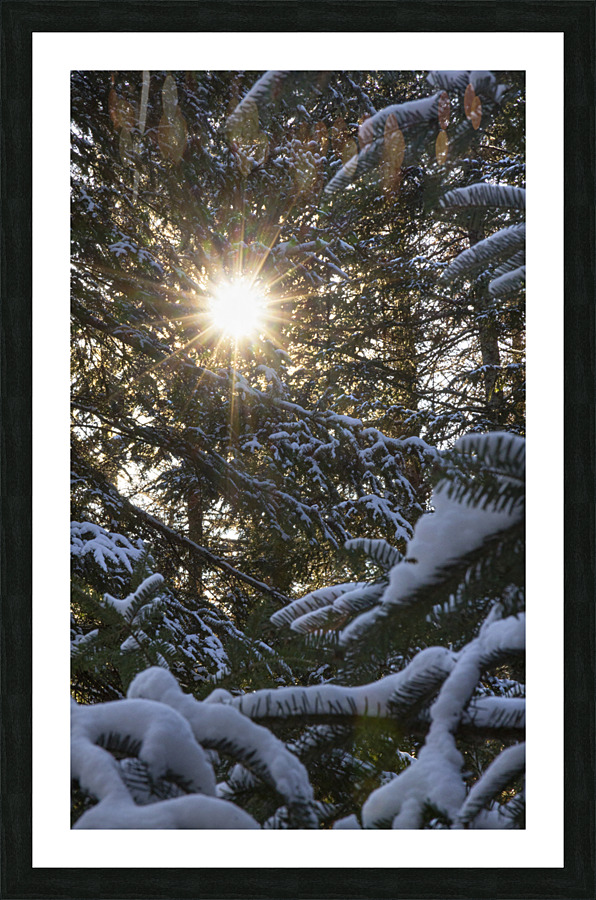 Soleil Etoile Picture Frame print
