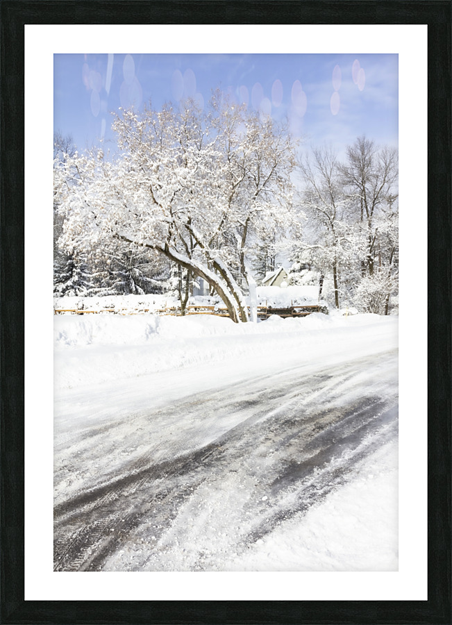 Chemin enneige Picture Frame print