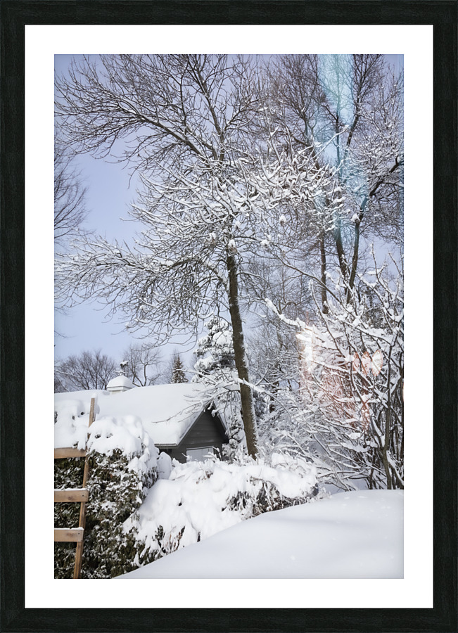 Winter Picture Frame print