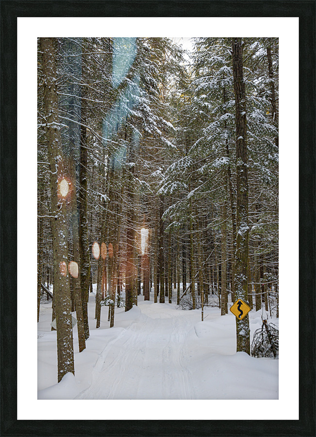 Rando Picture Frame print