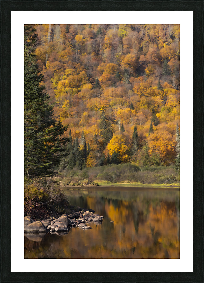 Fall Picture Frame print