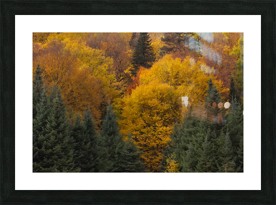 Immersion Picture Frame print
