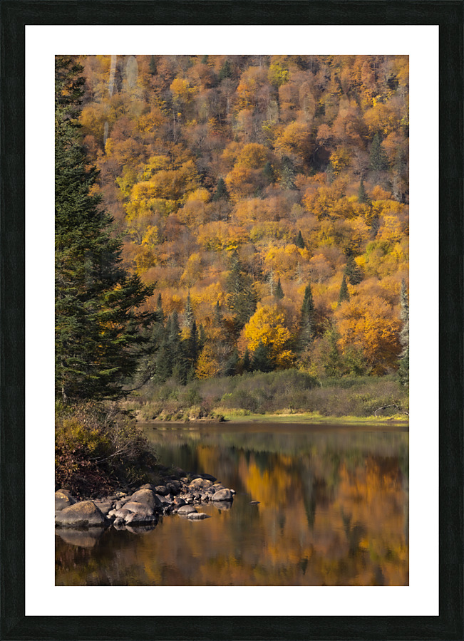 Fall Picture Frame print