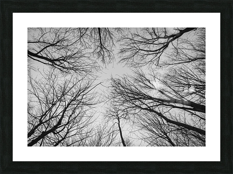 Veins Picture Frame print