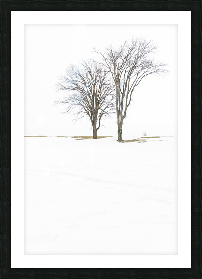 Only 2 Picture Frame print