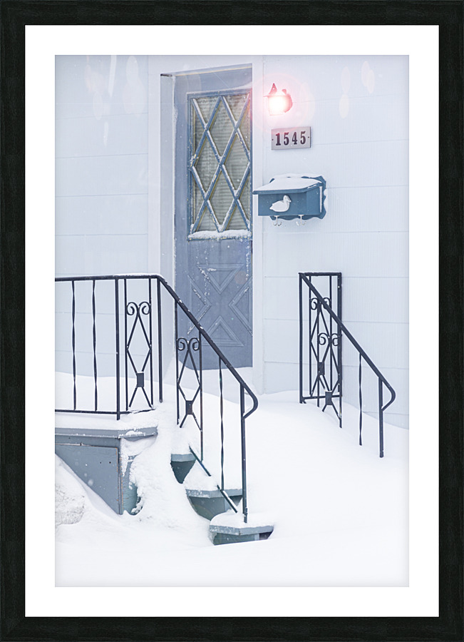 The door Picture Frame print