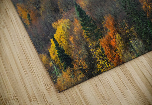 Automne POPPYPhotographie puzzle