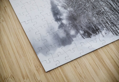 Arbres tempete POPPYPhotographie puzzle
