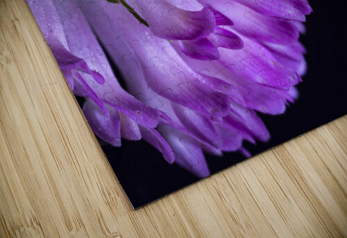 coeur de fleur POPPYPhotographie puzzle