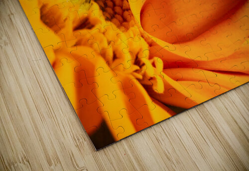 fleur orange POPPYPhotographie puzzle