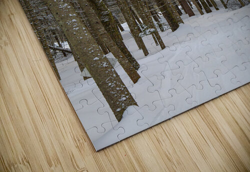 Rando POPPYPhotographie puzzle