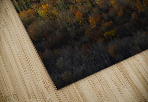 Et au milieu POPPYPhotographie puzzle