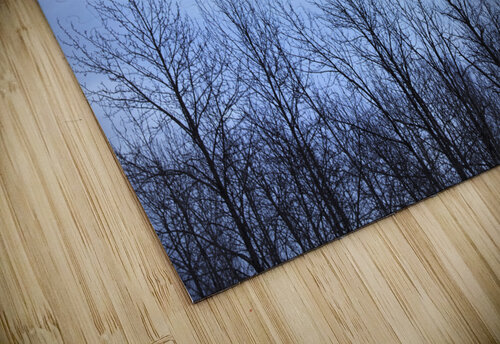 Moon in blue POPPYPhotographie puzzle