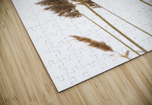 Plumeaux1 POPPYPhotographie puzzle