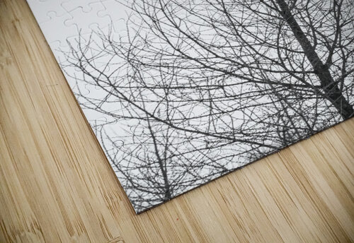 Naked tree POPPYPhotographie puzzle