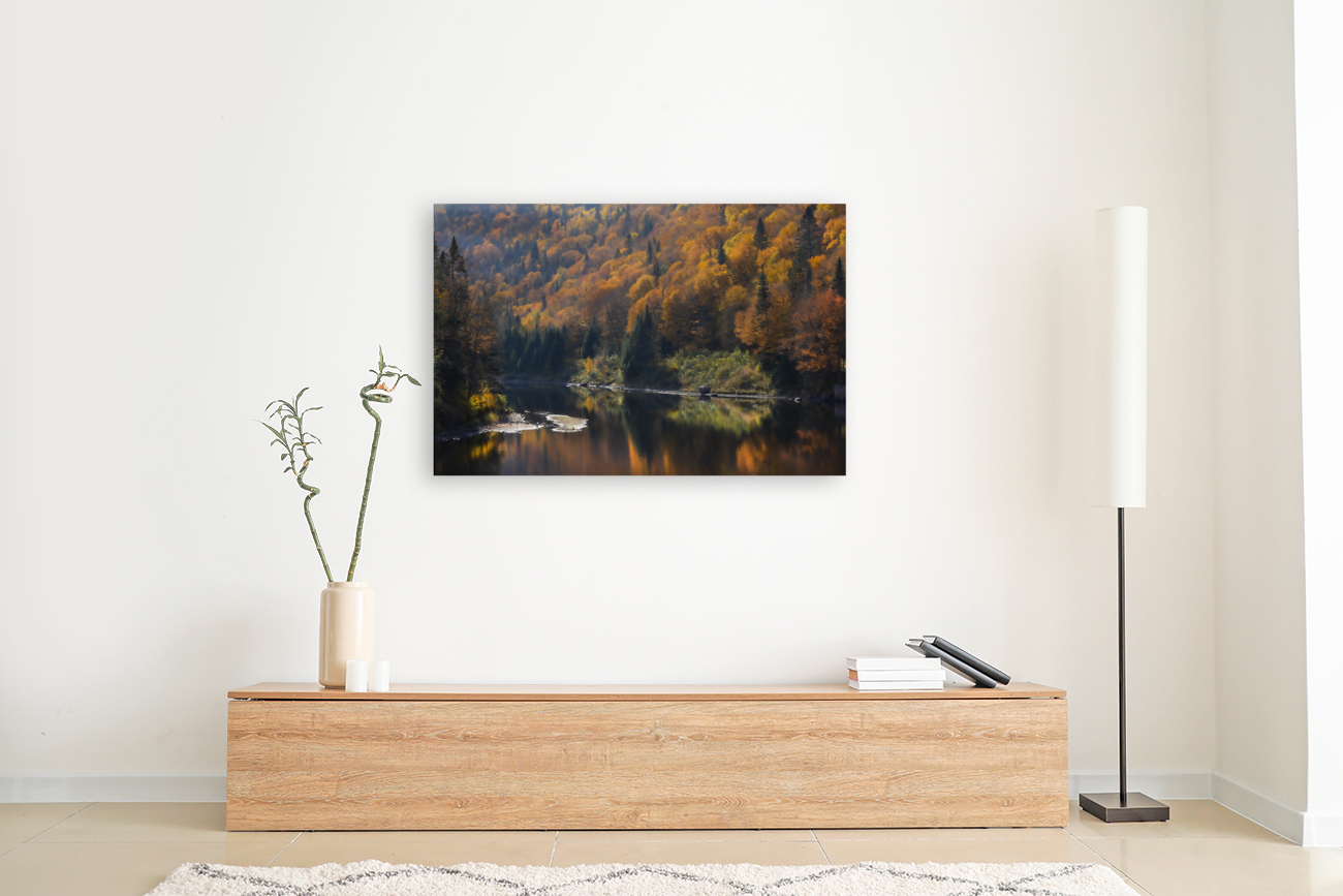 Foret Lac Reproduction